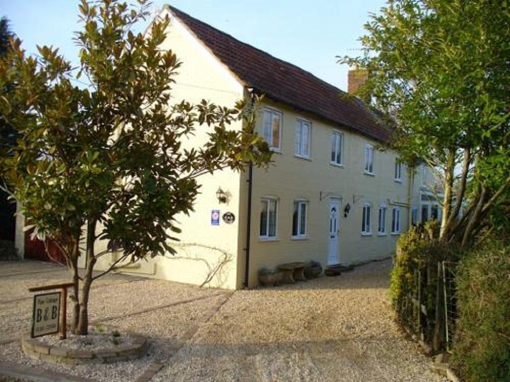 Vine Cottage B&B ดิไวเซส ภายนอก รูปภาพ