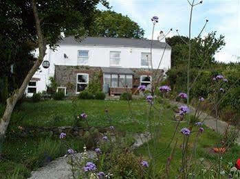 Vine Cottage B&B ดิไวเซส ภายนอก รูปภาพ